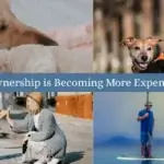 Why Pet Ownership is Becoming More Expensive in 2026