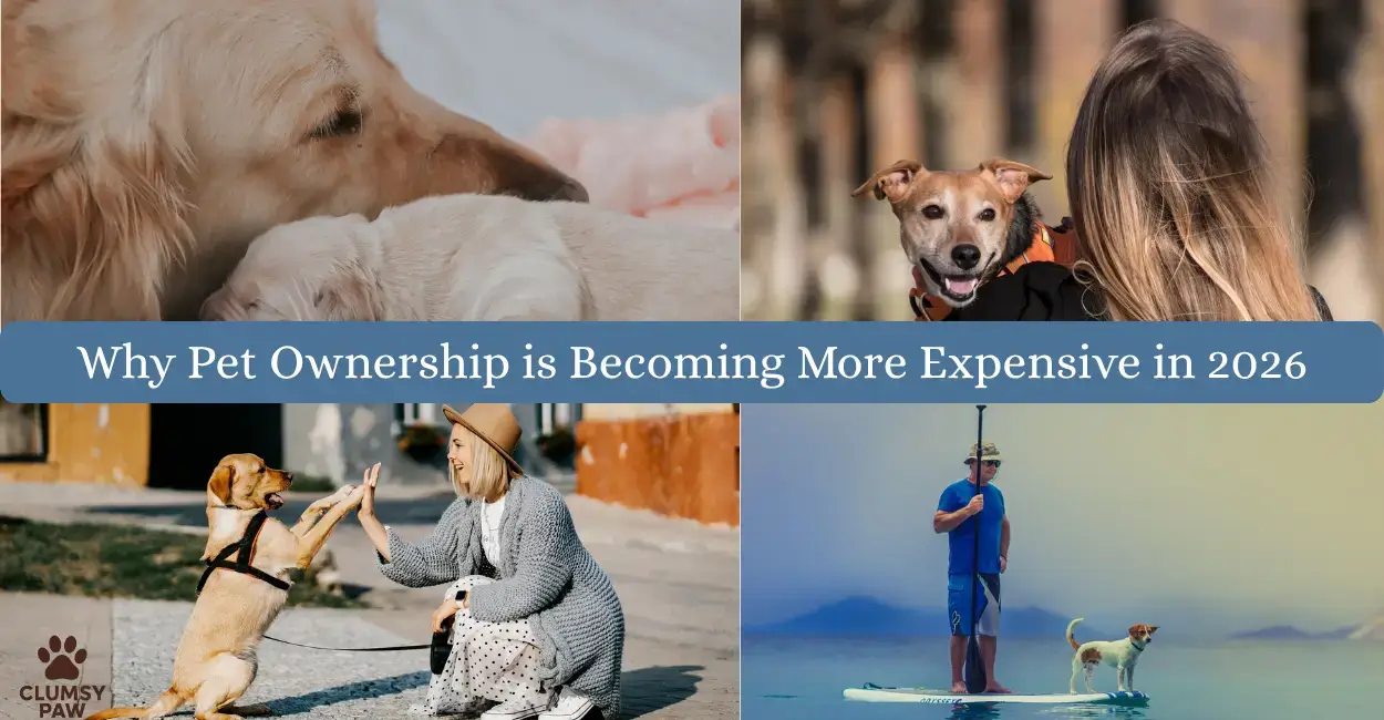 Why Pet Ownership is Becoming More Expensive in 2026