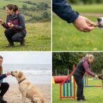 5 Genius Dog Training Ideas Every Owner Should Try