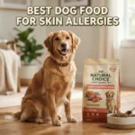 Best Dog Food for Skin Allergies