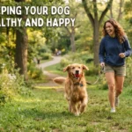 Homemade Dog Food with Ground Beef
