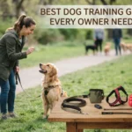 Best Dog Training Gear Every Owner Needs