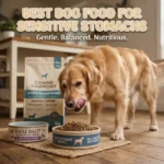 Best Dog Food for Sensitive Stomach