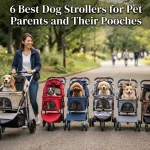 6 Best Dog Strollers for Pet Parents and Their Pooches