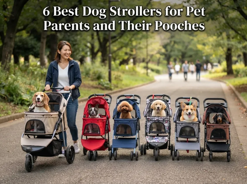 6 Best Dog Strollers for Pet Parents and Their Pooches