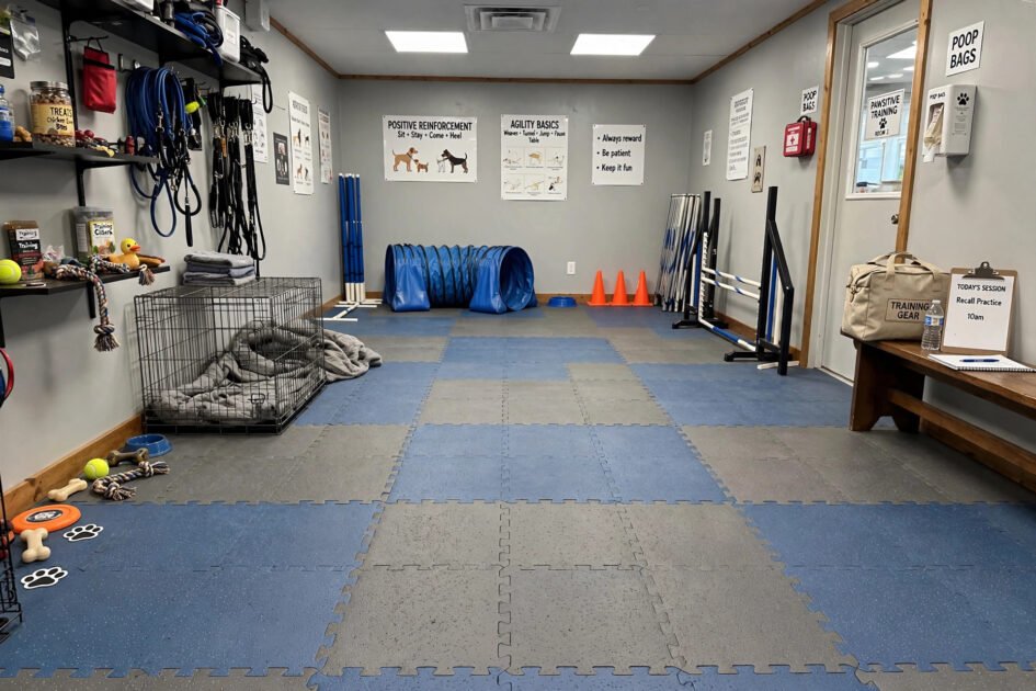 Interlocking foam floor mats covering the floor of an indoor dog training room