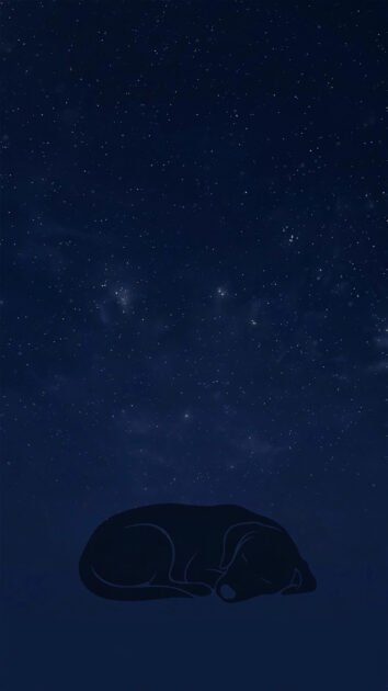 Dark mode phone wallpaper with a sleeping dog silhouette under stars on deep navy