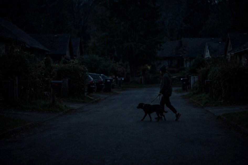 Person walking a dark-colored dog at night on an unlit street with no reflective gear