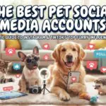 The Best Pet Social Media Accounts to Follow