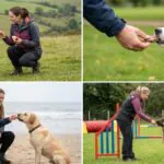 5 Genius Dog Training Ideas Every Owner Should Try