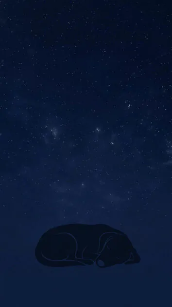 Dark mode phone wallpaper with a sleeping dog silhouette under stars on deep navy